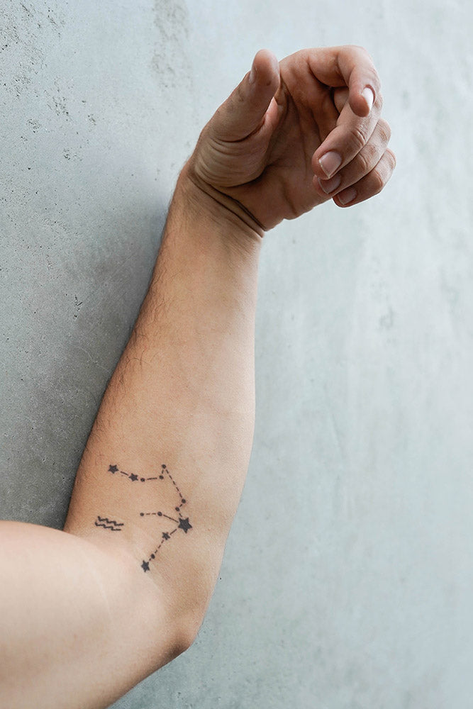 Aquarius Astrological Sign Star Constellation