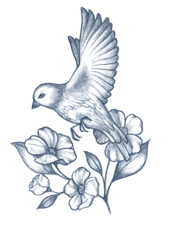 PÁJARO CANTOR EN VUELO