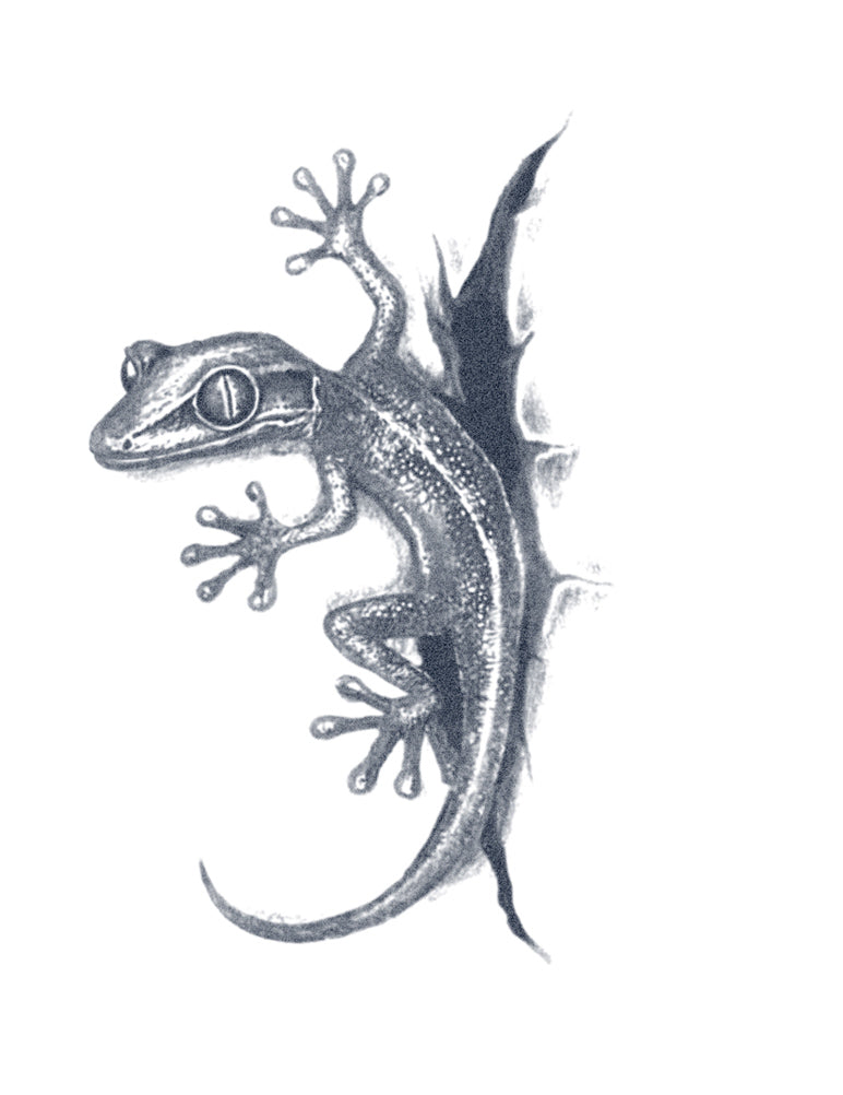 Gecko Lizard Tattoo