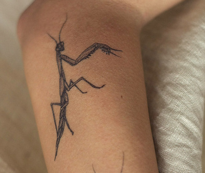 MANTIS EN PUNTILLISMO