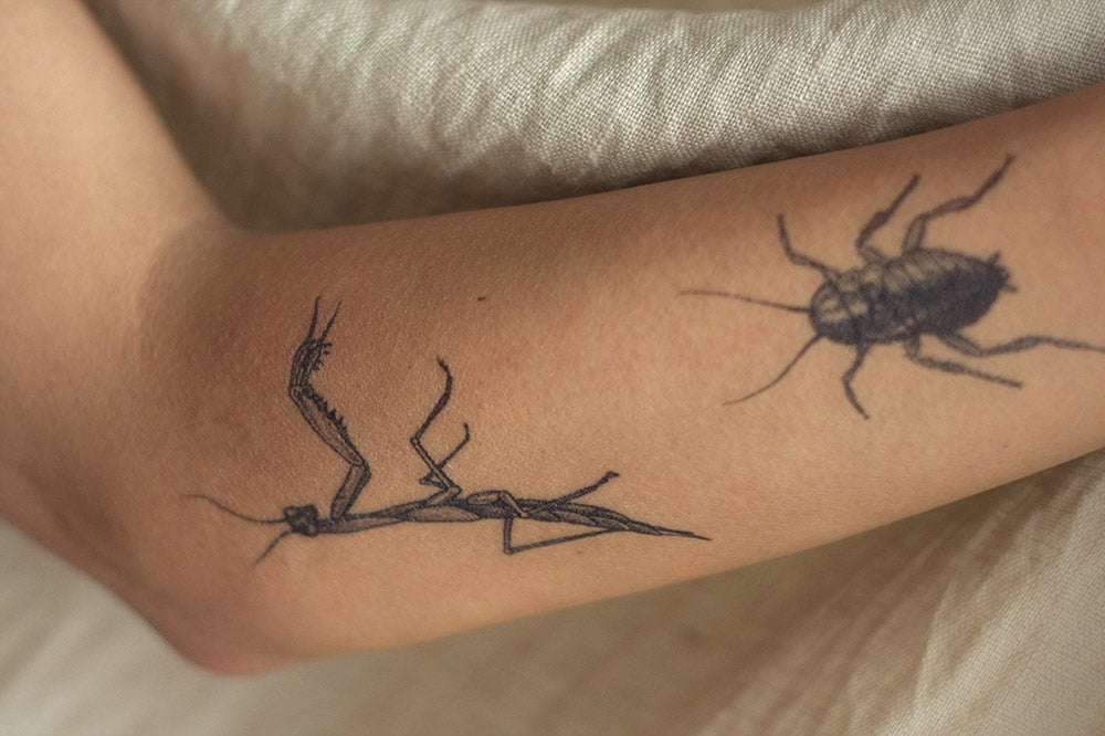 MANTIS EN PUNTILLISMO