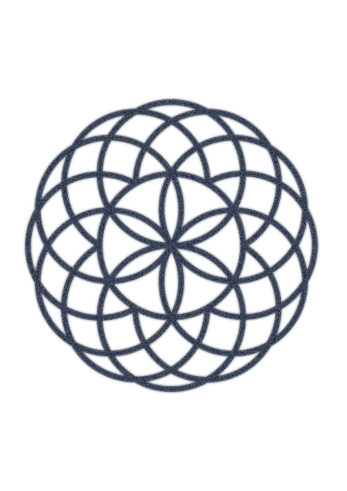 Seed Of Life