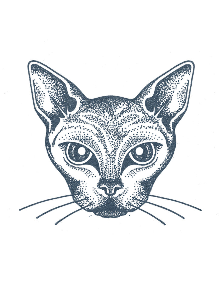TATUAJE DE GATO ESFINGE