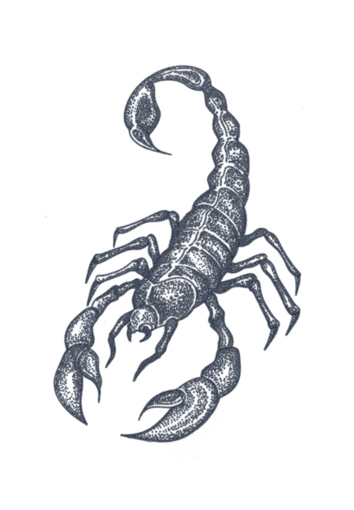 Dotwork Scorpion