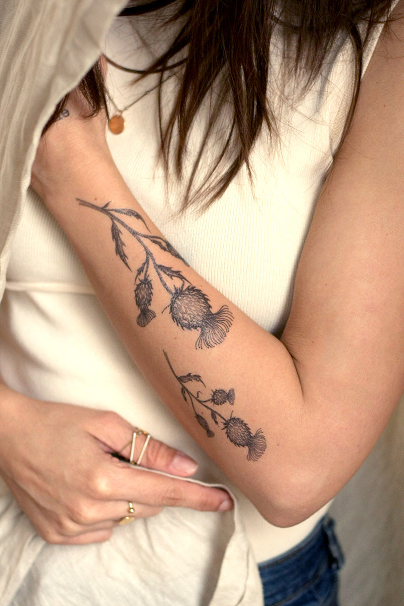 TATUAJE DE CARDO – Tattooed Now