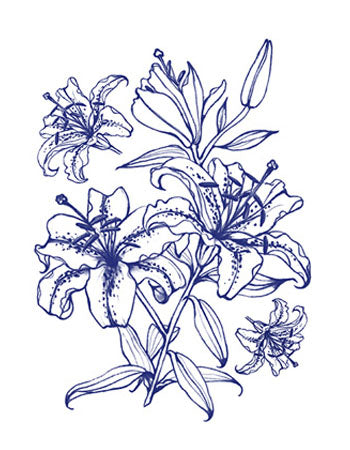small tiger lily tattoo Lilies Tattoo ( Small