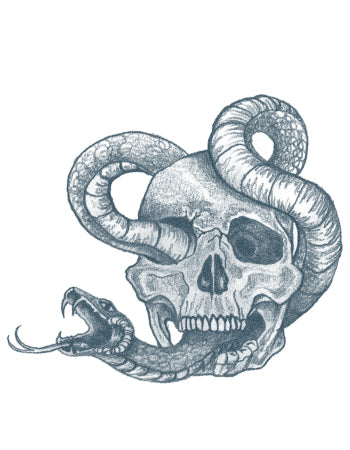 Skull And Snake Drawing