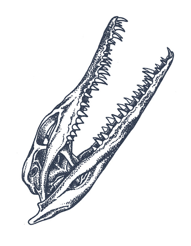 Alligator Skull Dotwork Temporary Tattoo