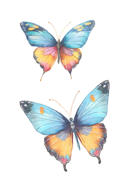 Butterfly Duo