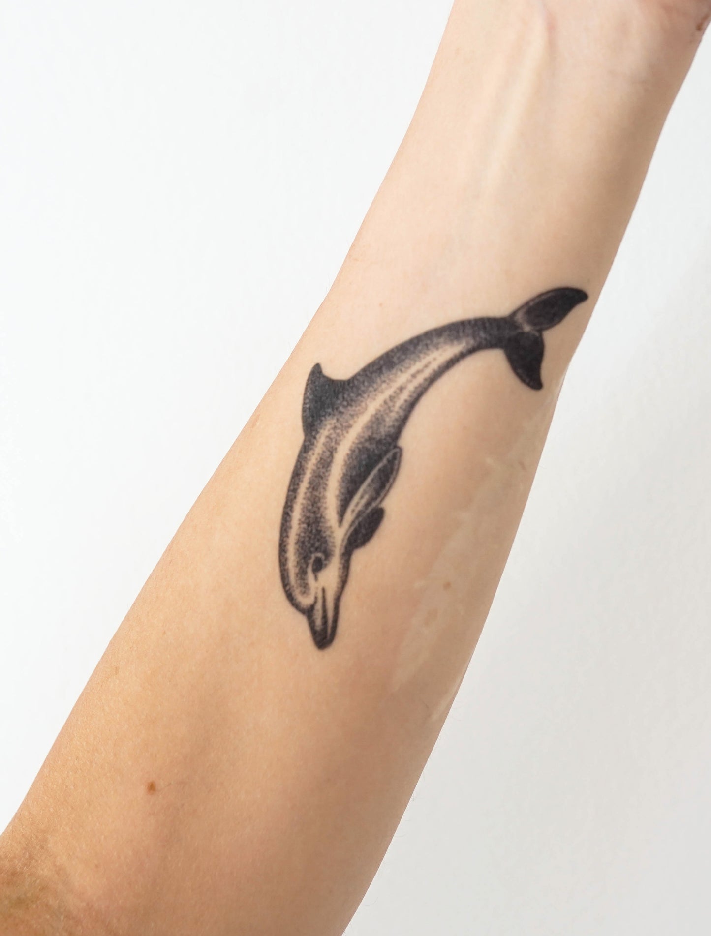 Dotwork Dolphin Tattoo