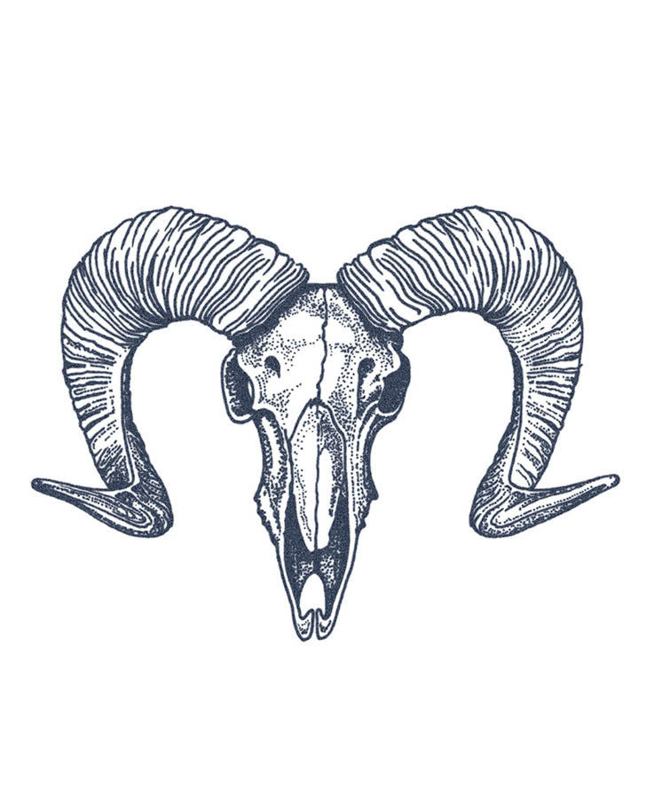 Dotwork Goat Skull Tattoo