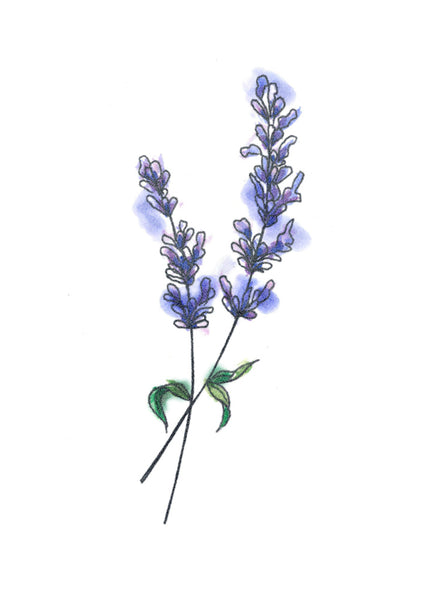 Lavender Flower Tattoo  Tattooed Now !