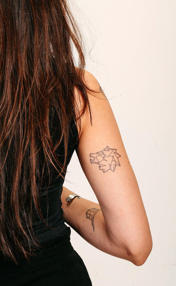 Leo Zodiac Sign Tattoo