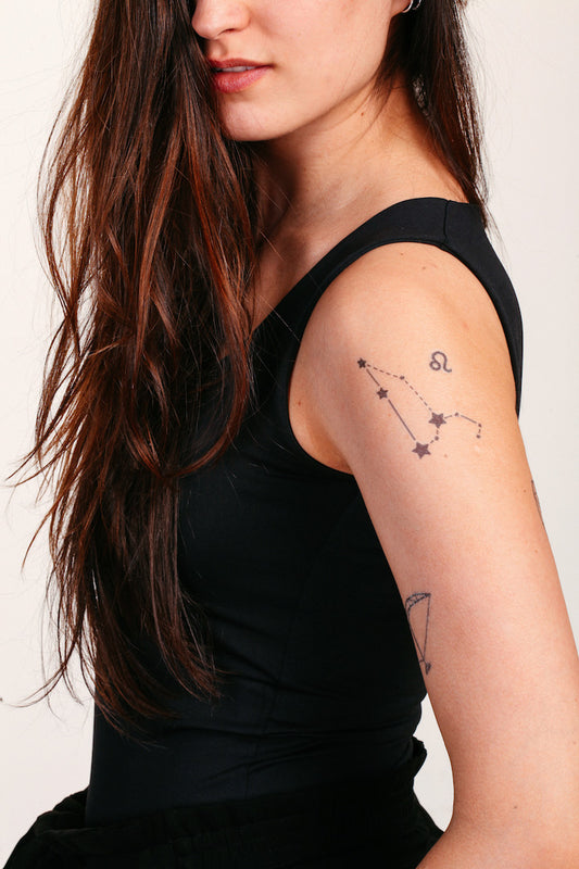 Leo Astrological Sign Star Constellation