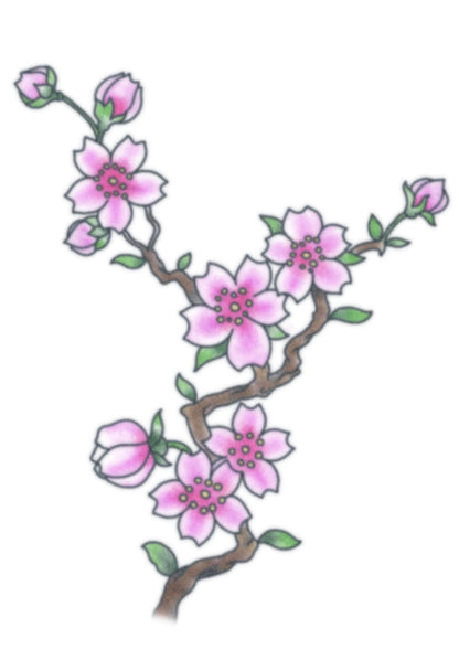 Small Cherry Blossom