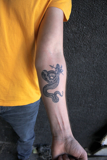 Snake by Ramon Maiden