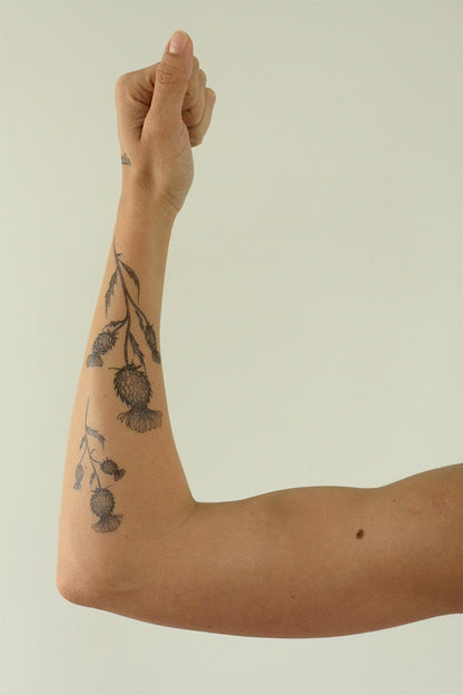 TATUAJE DE CARDO