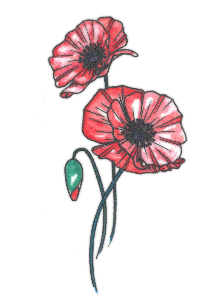 Watercolour Poppy Flower