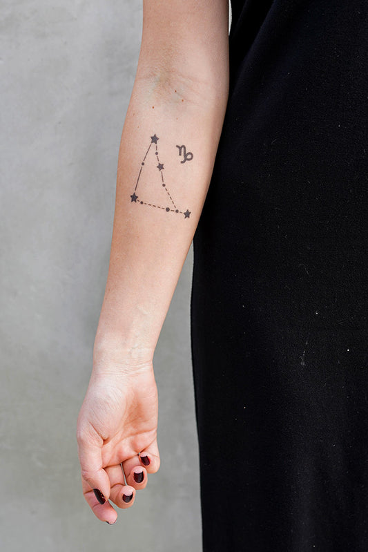 Capricorn Astrological Sign Star Constellation