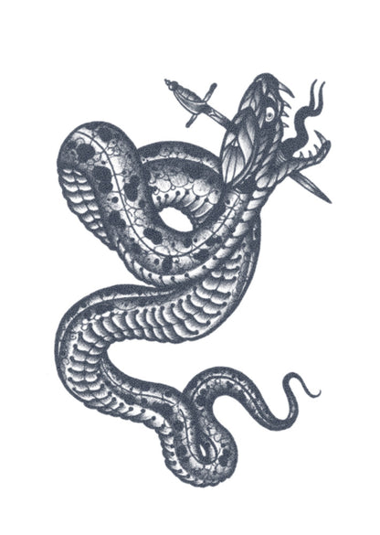 Snake by Ramon Maiden