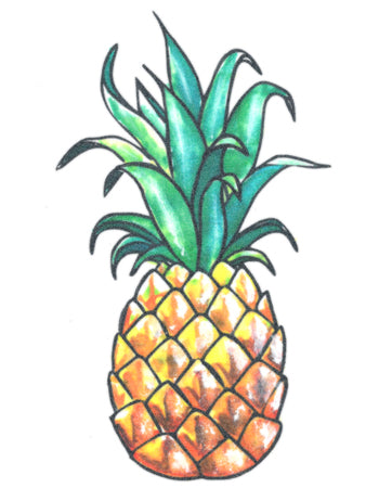 Watercolour Pineapple