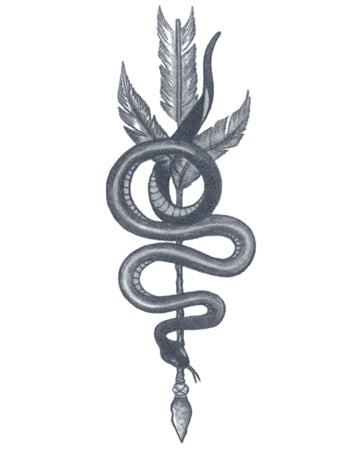 Arrow With Snake