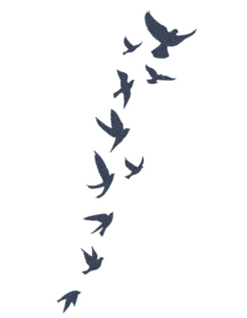 Flying Birds