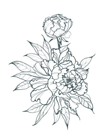 Peonies Outline Alt (Small)