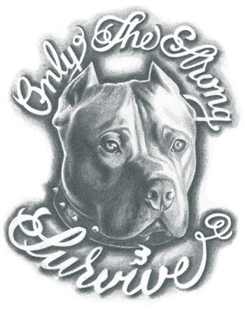 pitbull tattoo