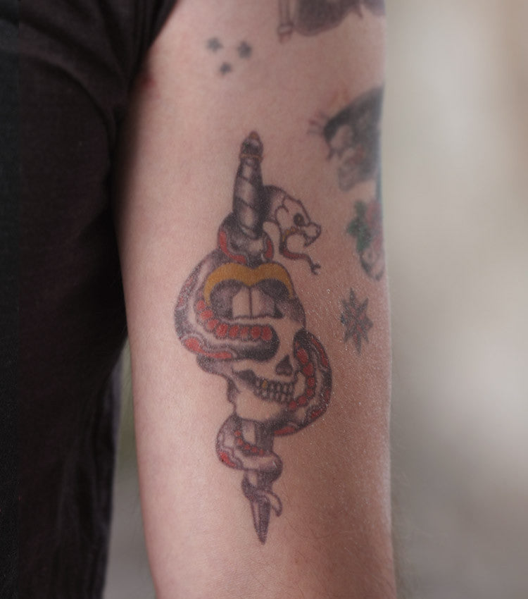 Traditional Skull And Dagger with Snake