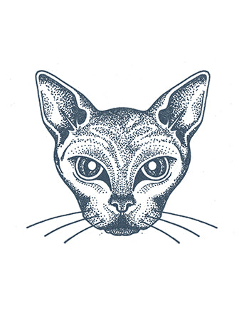 Sphynx Cat Tattoo