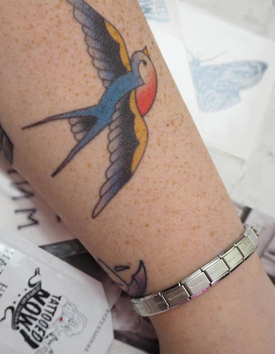 Vintage Swallows