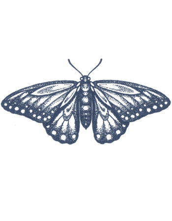 Dotwork Moth