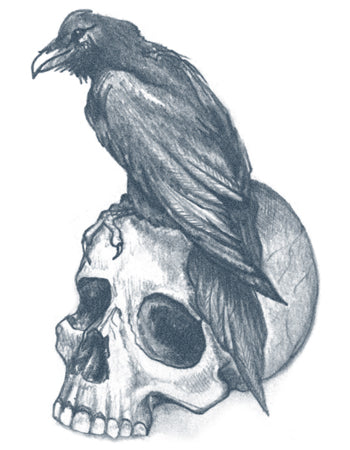 Raven With Skull