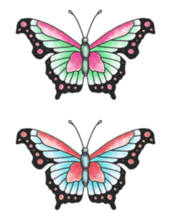 butterfly temporary tattoo