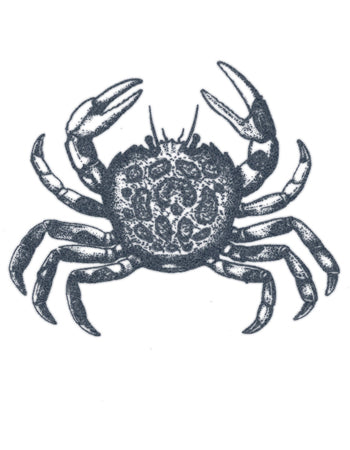 TATUAJE DE CANGREJO EN PUNTILLISMO