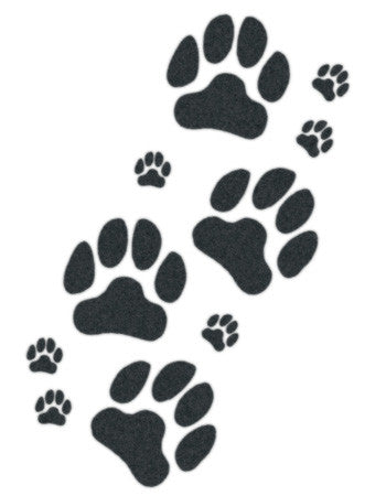 dog and puppy paws temporary tattoo