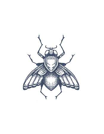 Fly Tattoo
