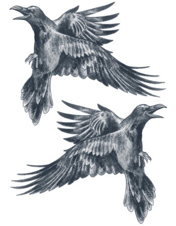 Two Ravens